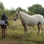 pexels-veronica-bertollo-20454298-7208904